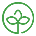 Купити свіжі квіти в Києві